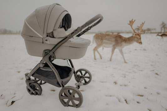 Why Noordi Prams and Pushchairs Stand Out in 2024